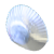 Science part